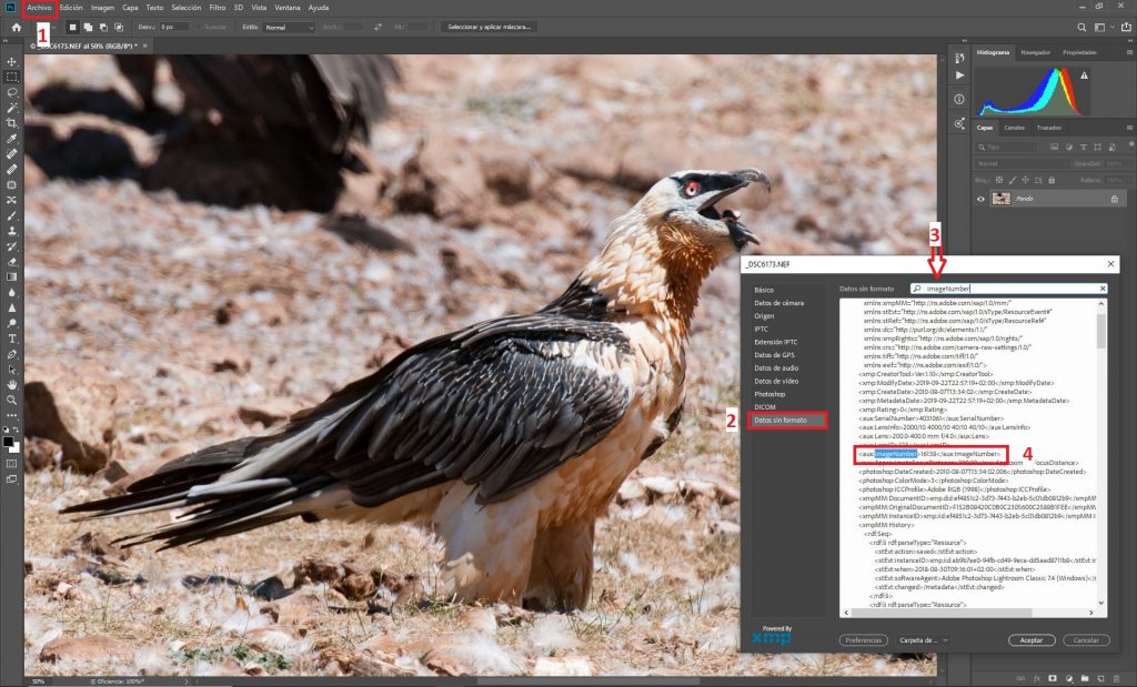 Captura_Photoshop
